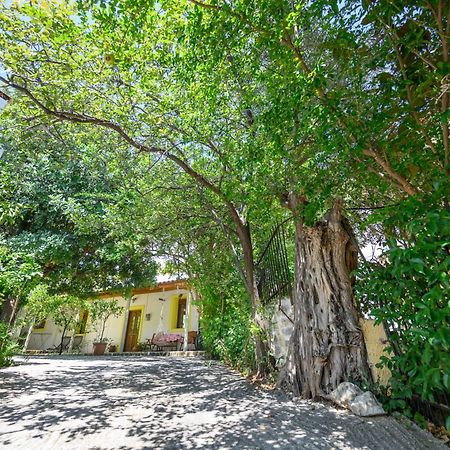 Μικρή Βίλα 'Γεράνι' Agios Vlasios  Εξωτερικό φωτογραφία