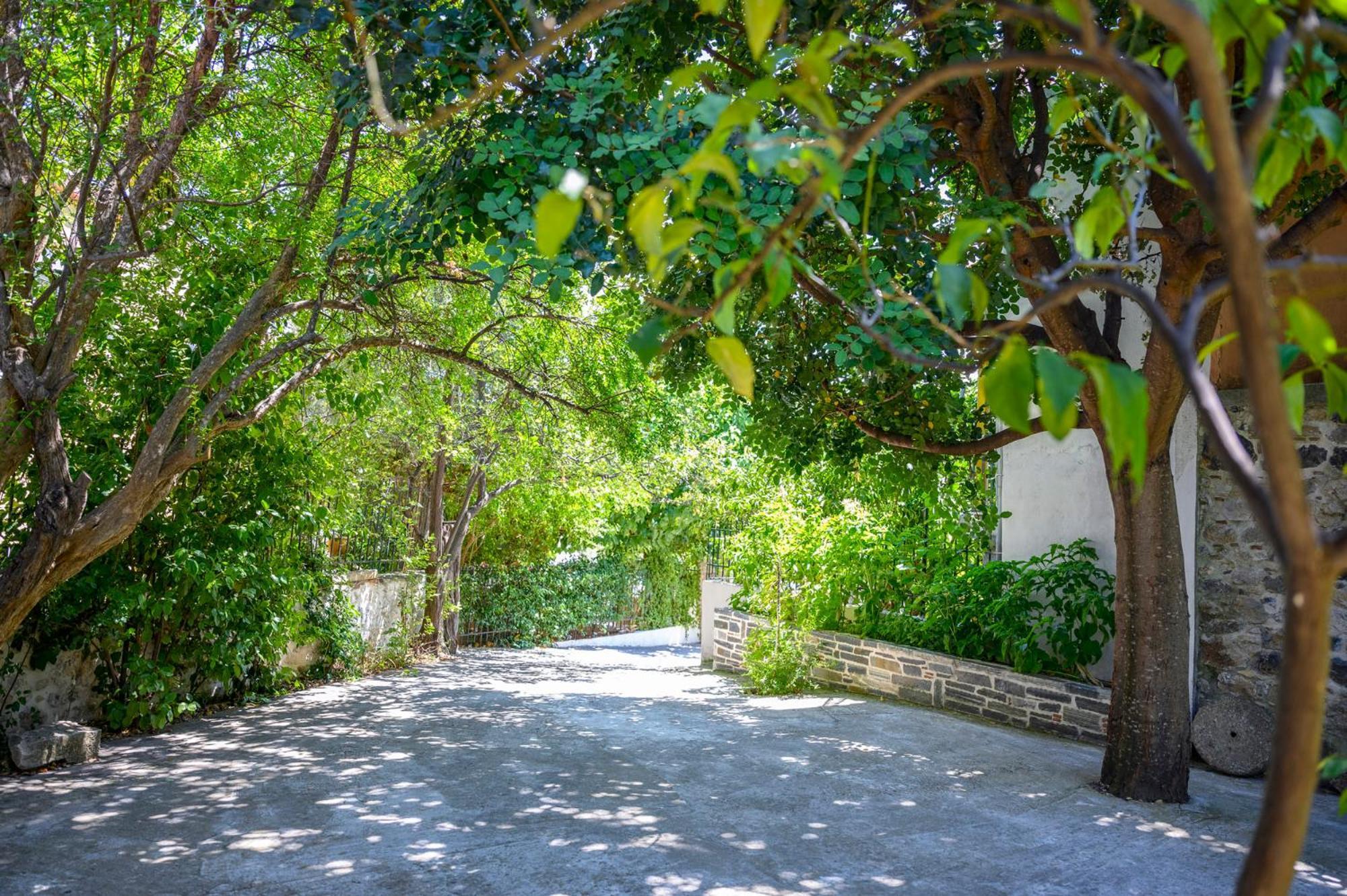 Μικρή Βίλα 'Γεράνι' Agios Vlasios  Εξωτερικό φωτογραφία